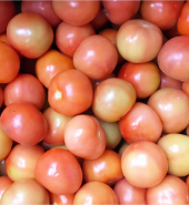 Tomato – 1kg