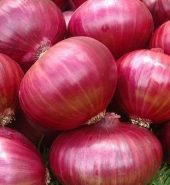 Onion Big(India) – 1 Kg