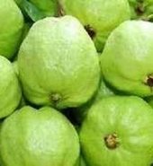 Guava