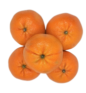 Oranges – 500gm(3pcs) / 1kg(6pcs)